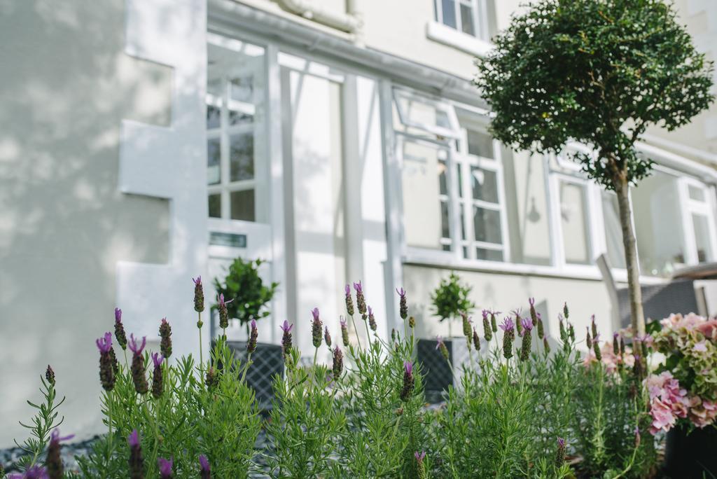 Apple Tree Bed And Breakfast Tavistock (Devon) Exterior foto